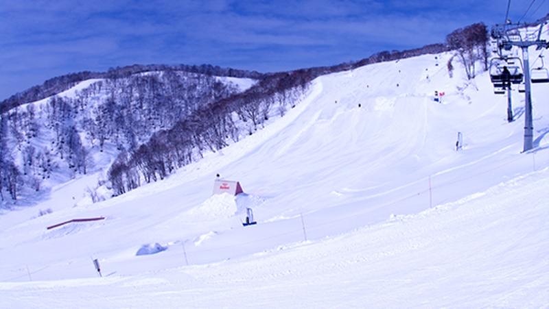 中部スノーアライアンス株式会社 ダイナランドの求人情報