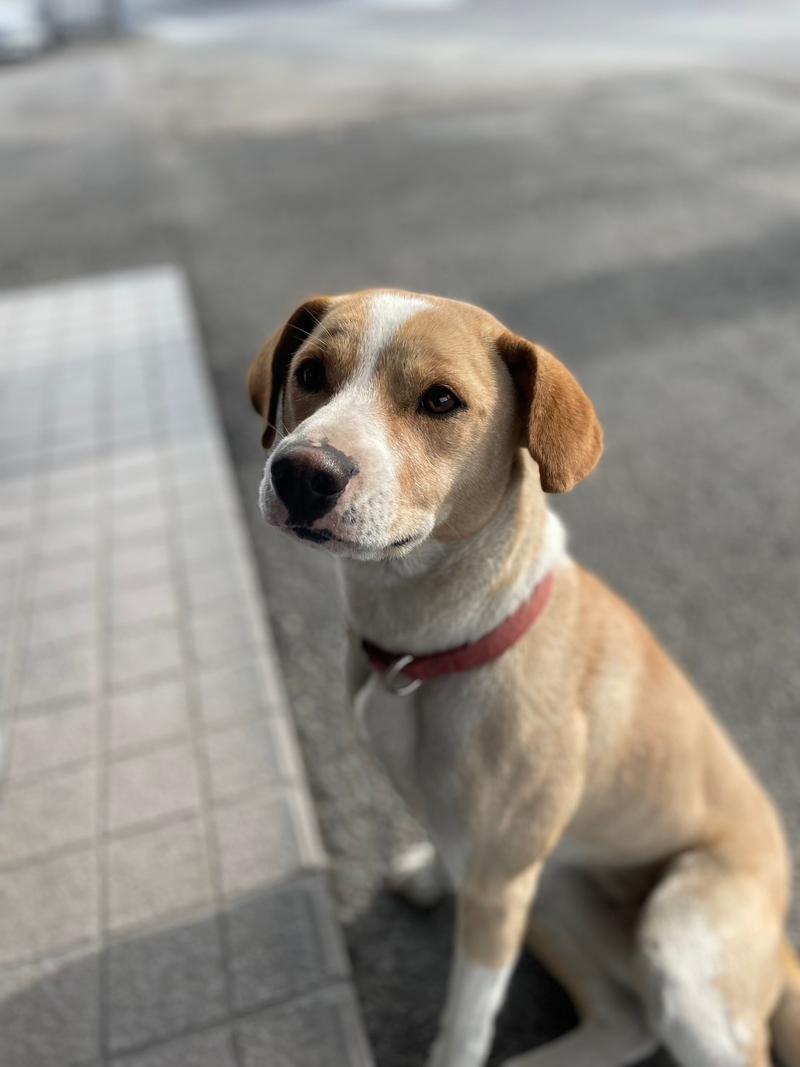 有限会社 シーエフ商事の求人・転職情報-02