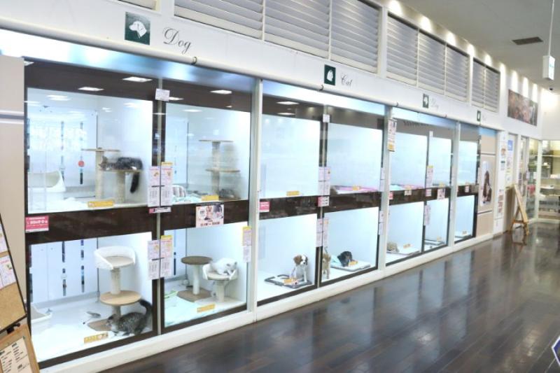 B-WEST 入間武蔵藤沢店(スリーゼロ株式会社 )のアルバイト・バイト求人情報-02