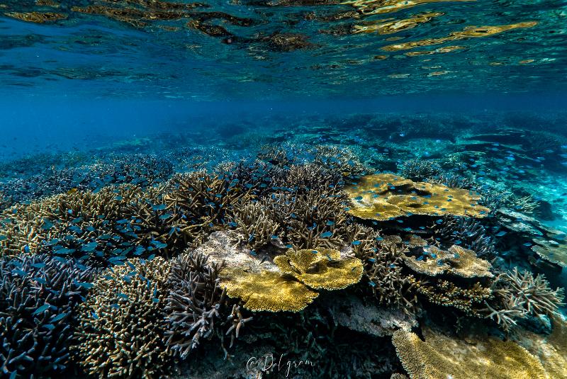 株式会社海丸のアルバイト・バイト求人情報-05