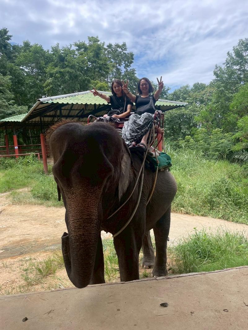 有限会社DreamEntrance-0005の求人・転職情報