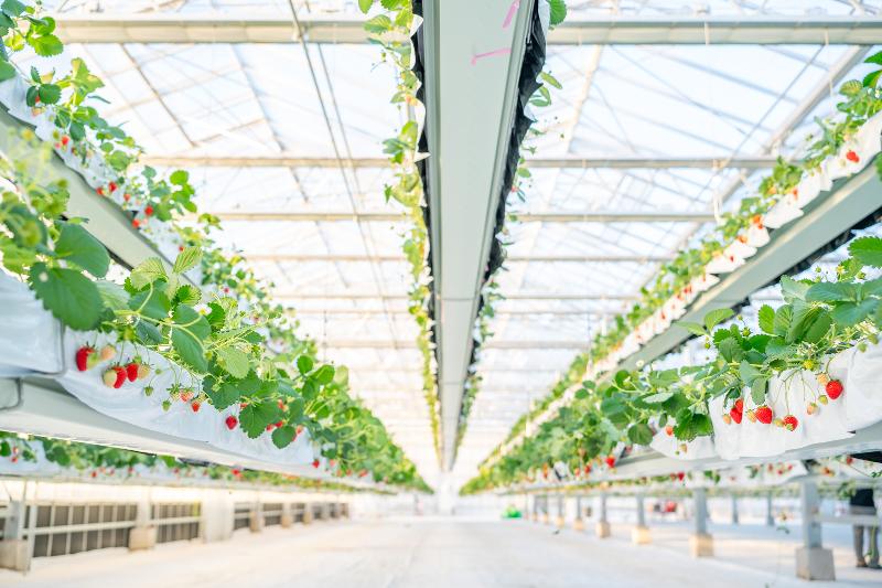 株式会社グリーンファーム戸塚深谷店のアルバイト・バイト求人情報-02