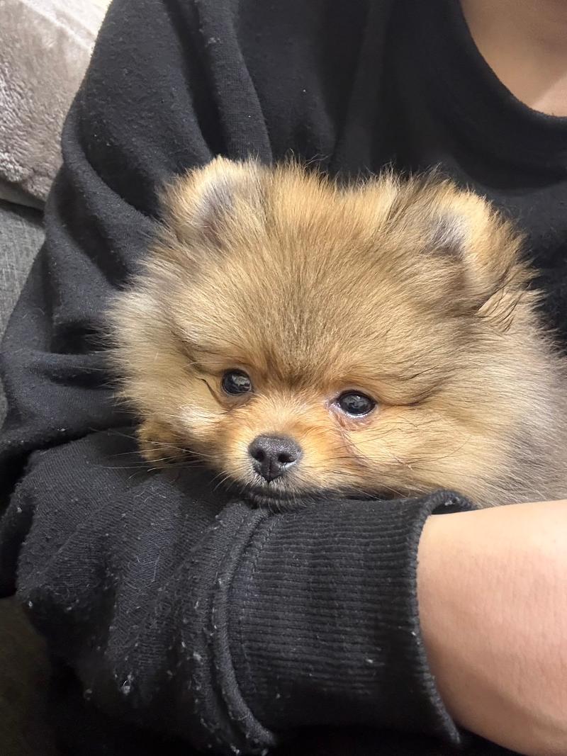 有限会社　ティナズダイニングのアルバイト・バイト求人情報-04