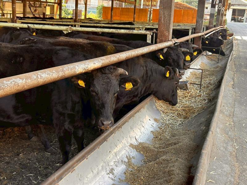 株式会社そうしんアグリのアルバイト・バイト求人情報-02