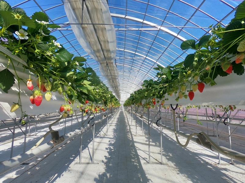 (株)ててかむの求人・転職情報