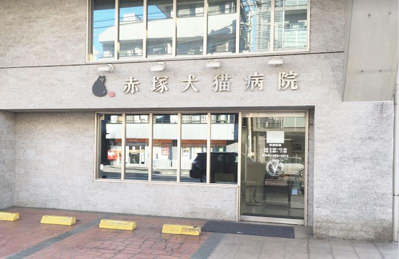 下末吉赤塚犬猫病院(VCA Japan 合同会社)のアルバイト・バイト求人情報-02