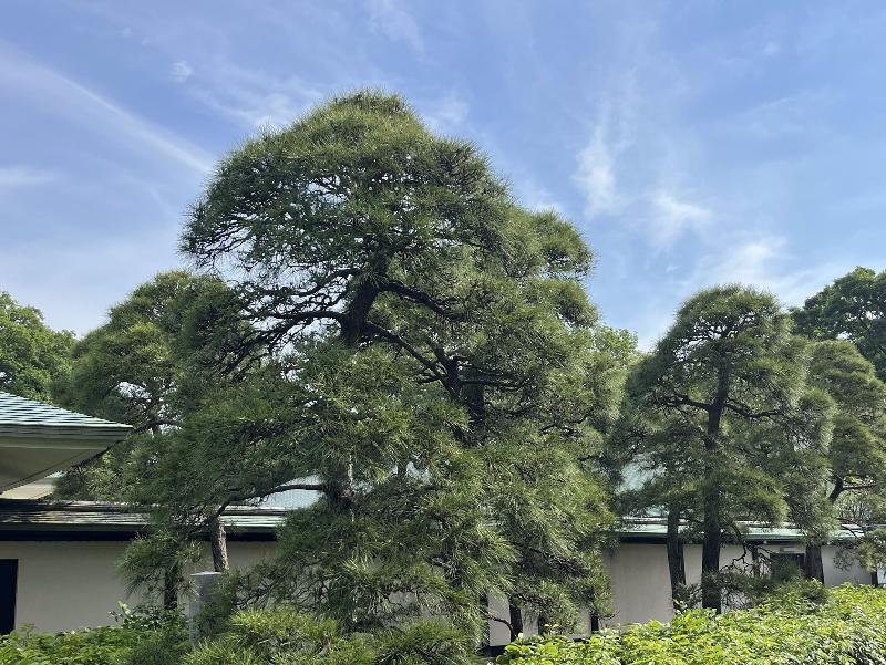 平林造園のアルバイト・バイト求人情報-05