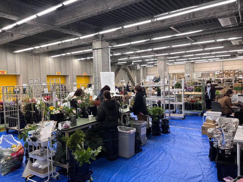 AND PLANTS(株式会社Domuz)の求人情報