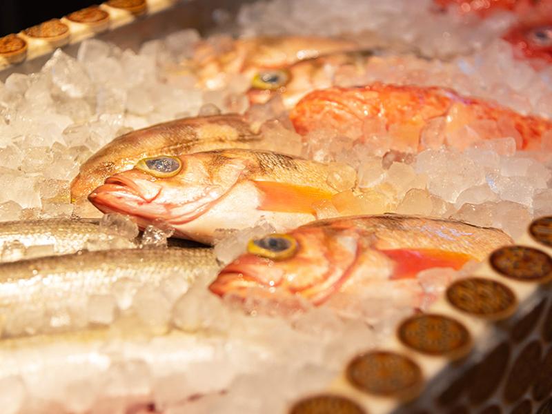 炉端バル 魚炉魚炉‐gyoro・gyoro‐ 京急川崎店のアルバイト・バイト求人情報-03