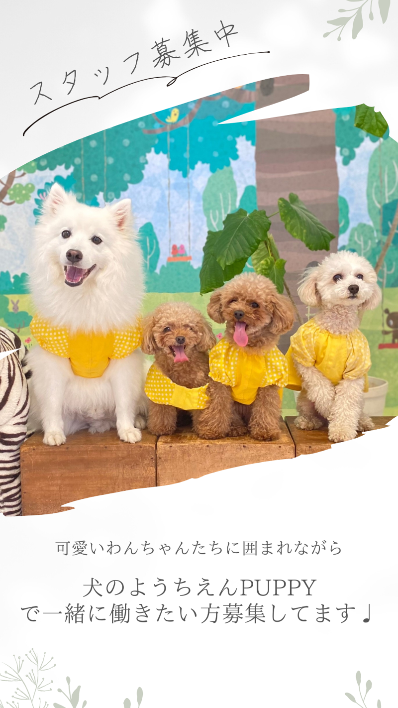 PUPPY株式会社のアルバイト・バイト求人情報-02