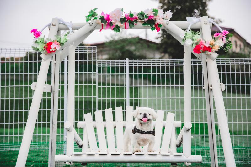 株式会社いぬらくのアルバイト・バイト求人情報-04