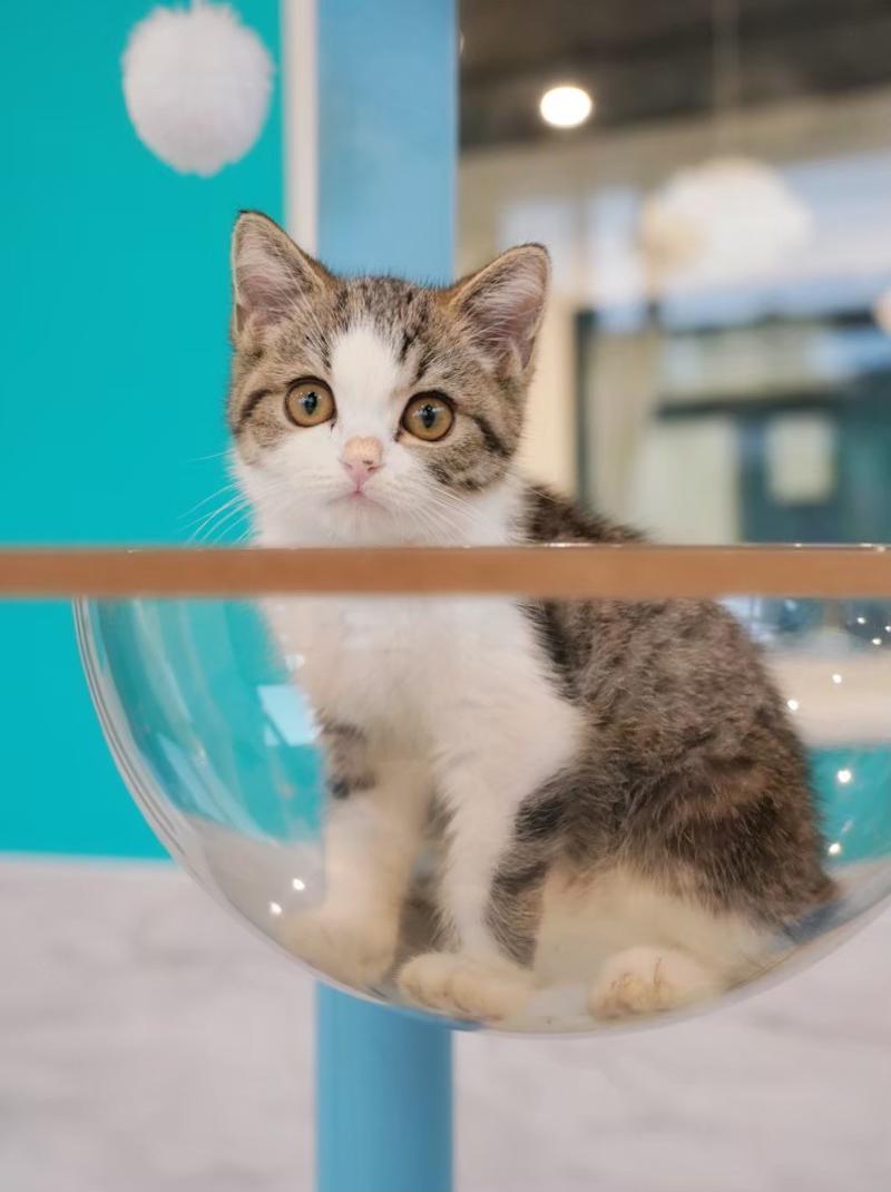 株式会社ANELLA Groupのアルバイト・バイト求人情報-03