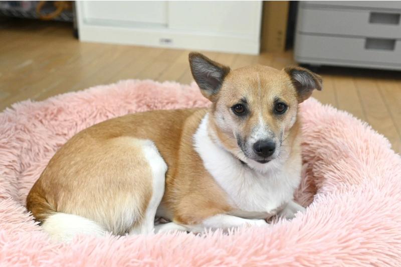 株式会社IDEC-Globalのアルバイト・バイト求人情報-05