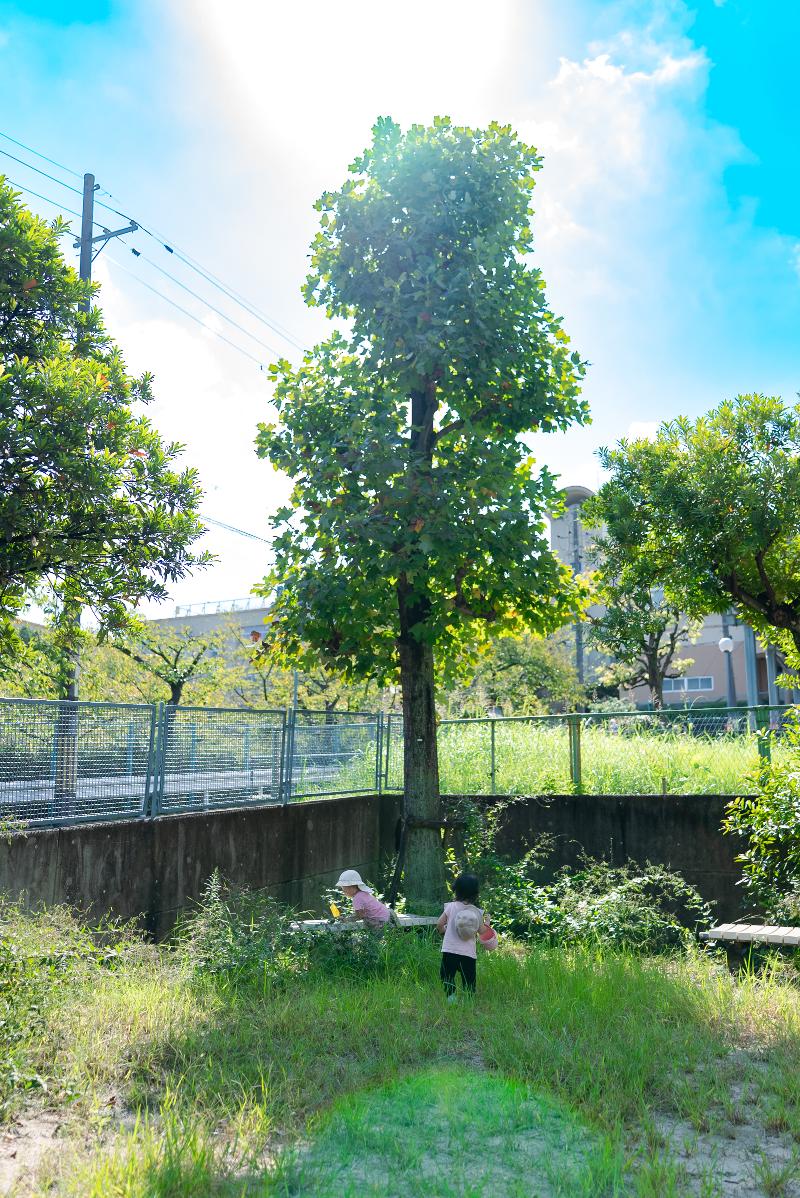 セント・ジュエル株式会社 ひかり保育園のアルバイト・バイト求人情報-03