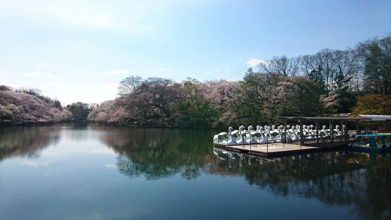 井の頭公園ボート場のアルバイト・バイト求人情報-03