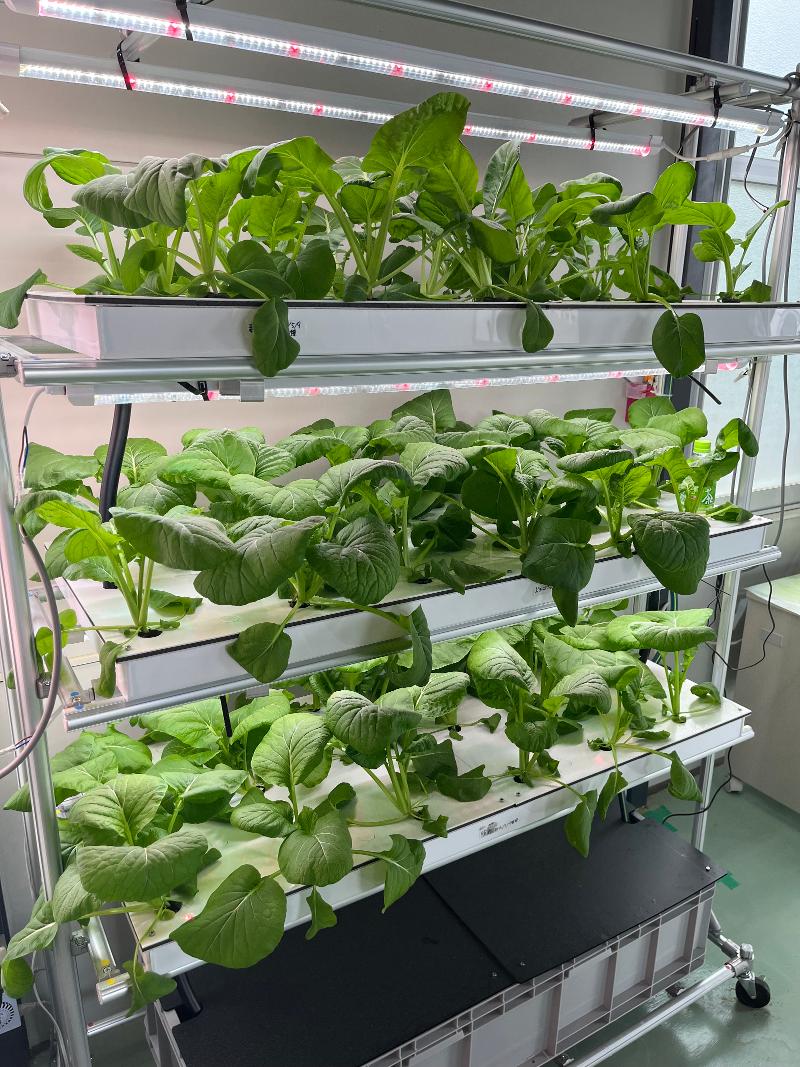 アントニーファーム株式会社のアルバイト・バイト求人情報-02