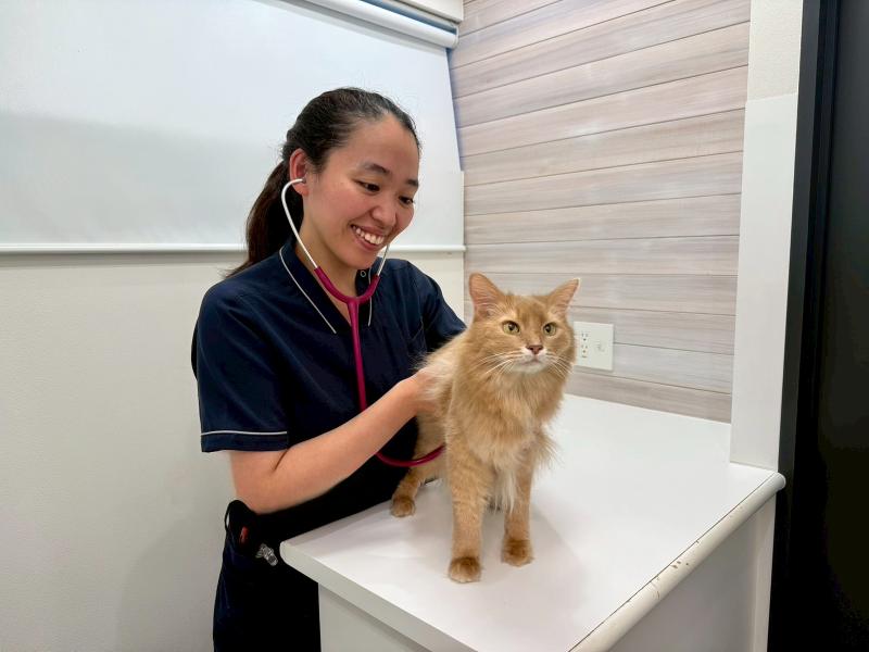 神楽坂 Cat Specialistsのアルバイト・バイト求人情報-03