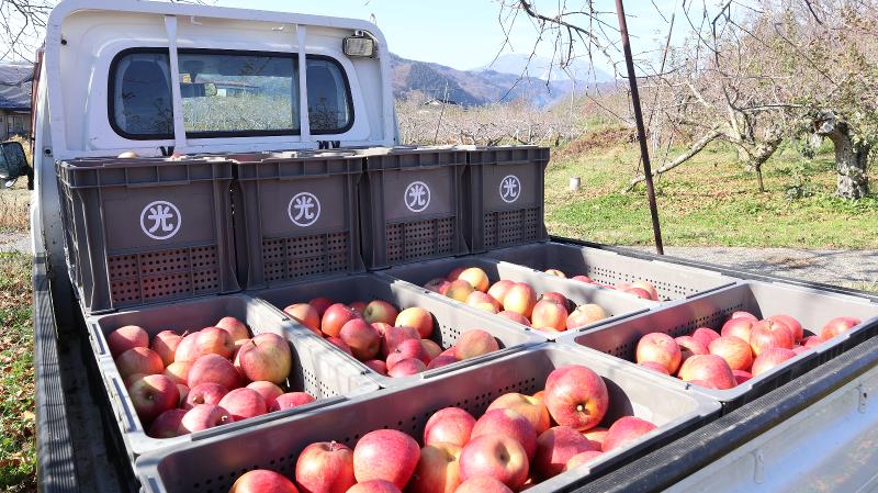 株式会社　荻原農園のアルバイト・バイト求人情報-04