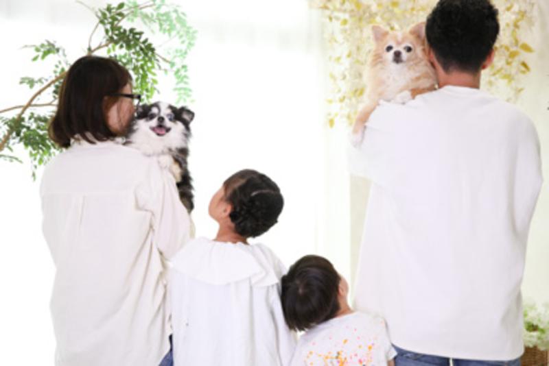【子ども写真館 ハピリィ フォトスタジオ】豊田浄水店のアルバイト・バイト求人情報-04