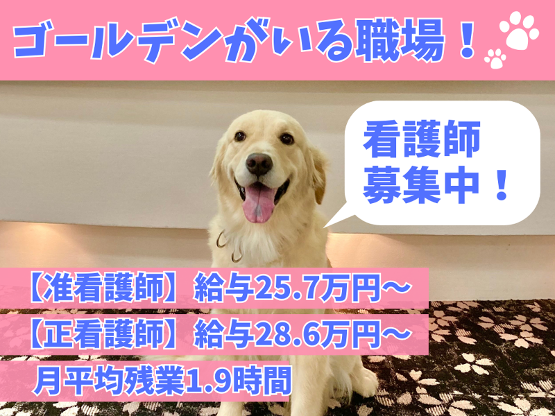 社会福祉法人博光福祉会の求人・転職情報