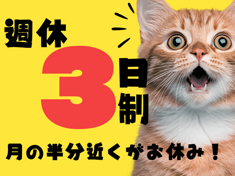株式会社ワールドインテックのアルバイト・バイト求人情報-02
