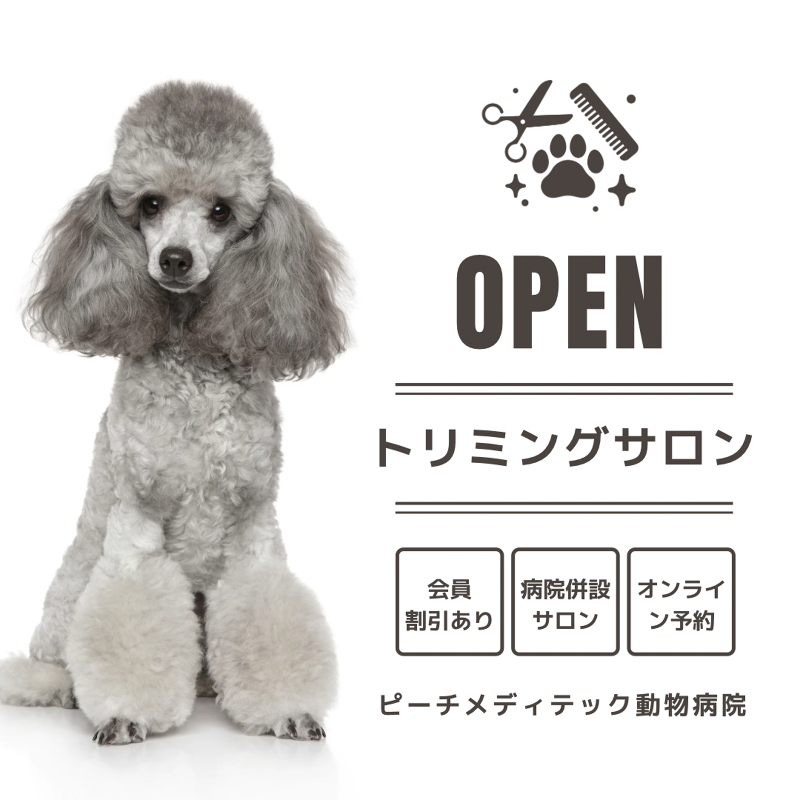 ピーチメディテック動物病院の求人・転職情報