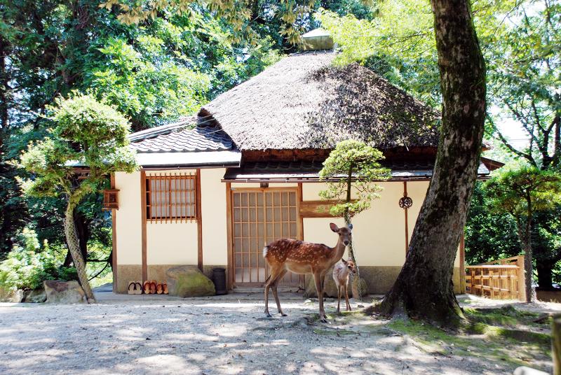 有限会社 江戸三の求人・転職情報-04