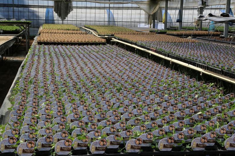 株式会社MSKガーデンのアルバイト・バイト求人情報-02