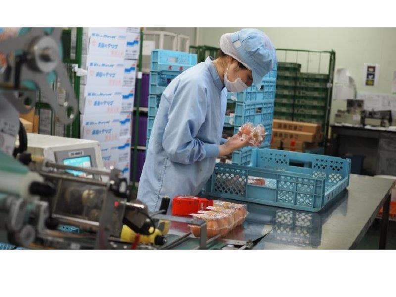 株式会社栗駒ポートリーのアルバイト・バイト求人情報-03