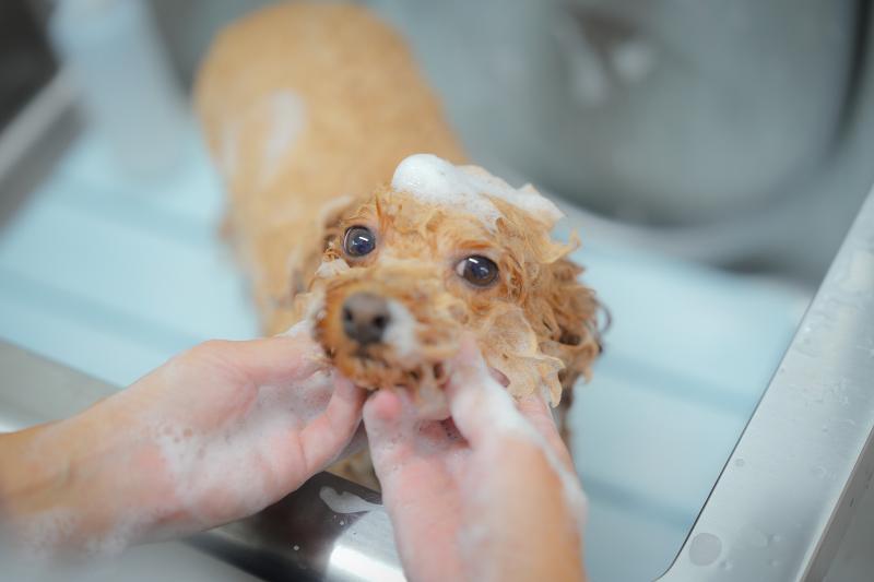 solun 株式会社京倭のアルバイト・バイト求人情報-05