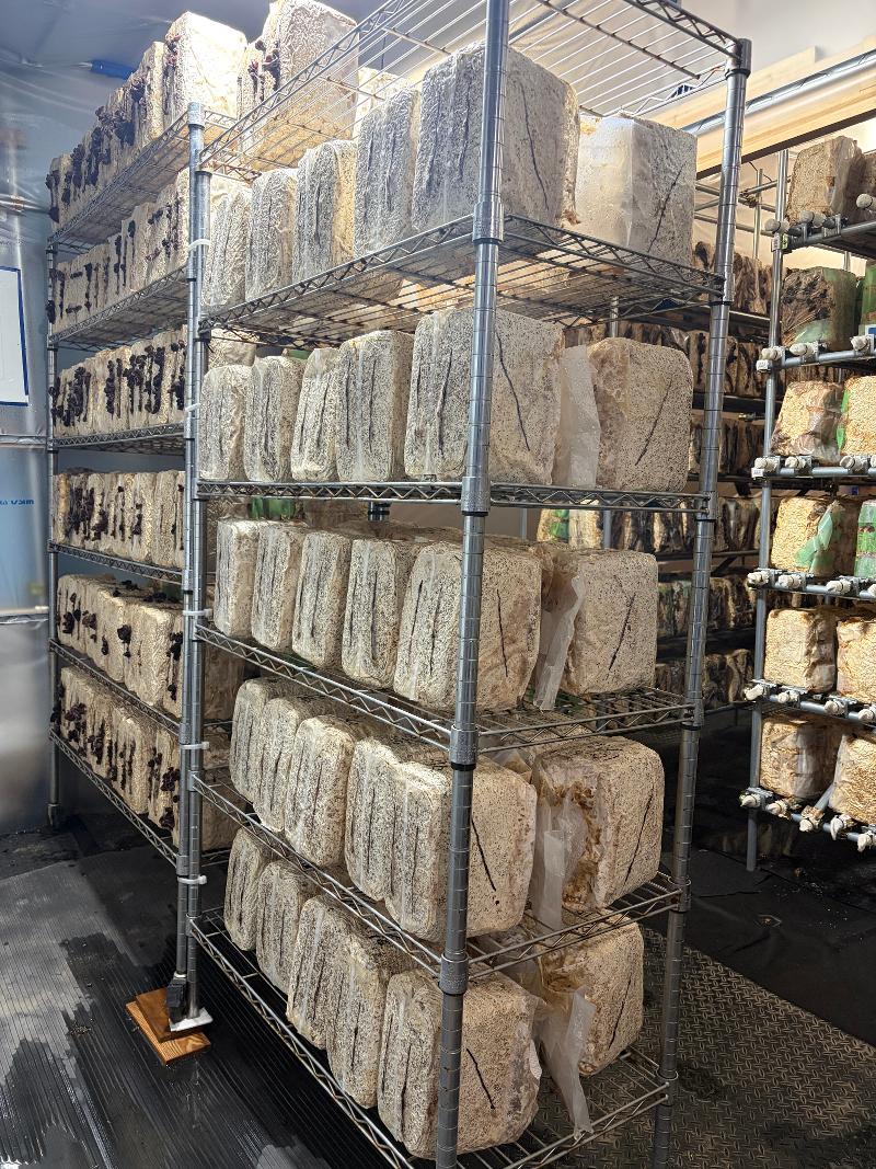 就労支援事業 Ai-self/合同会社ANNEIのアルバイト・バイト求人情報-04