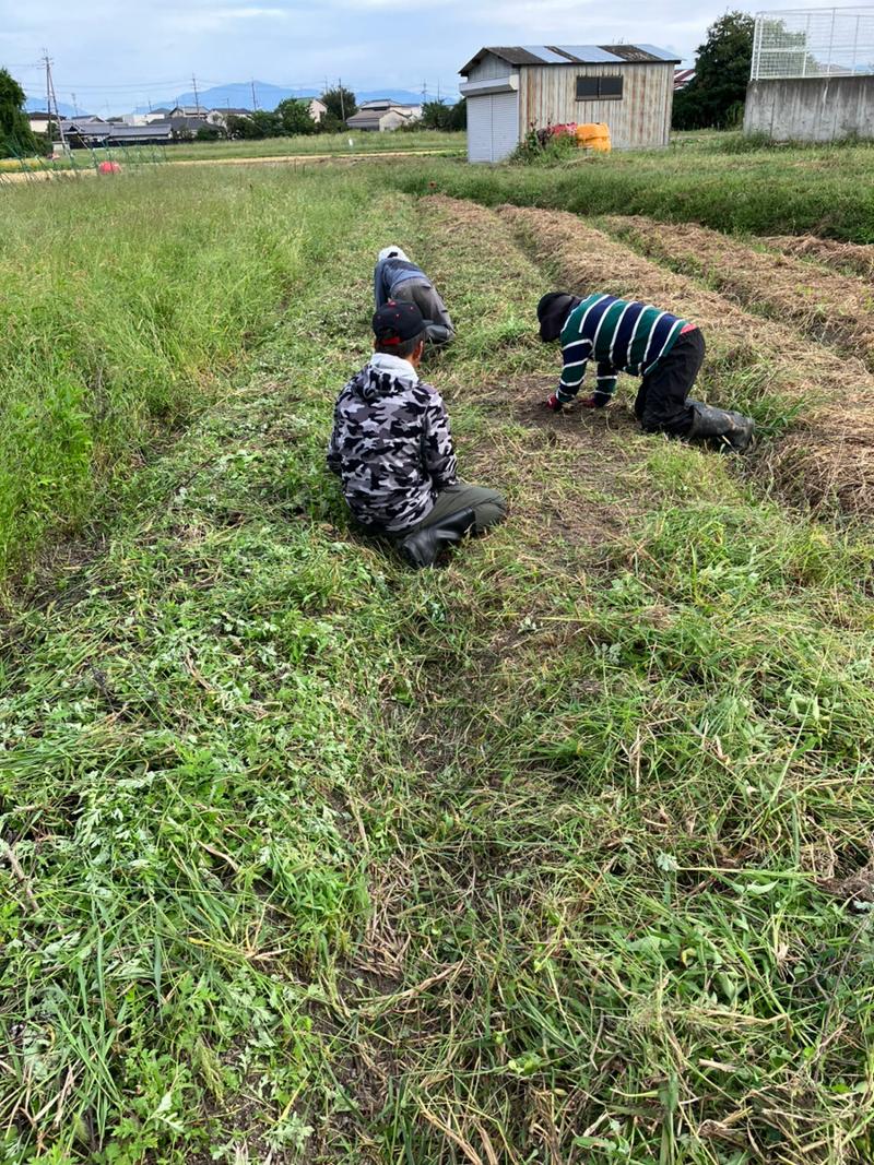 プロスパー株式会社のアルバイト・バイト求人情報-02