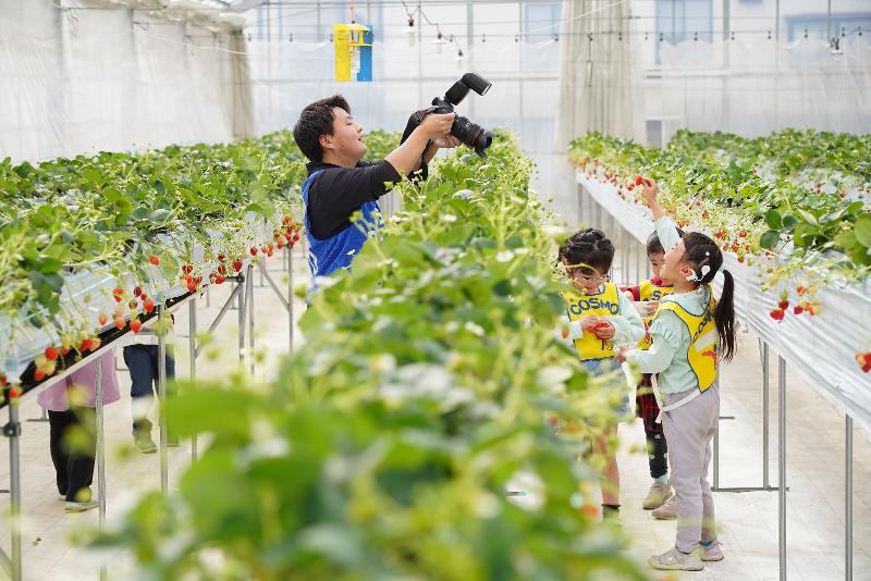 株式会社フォトクリエイトのアルバイト・バイト求人情報-02