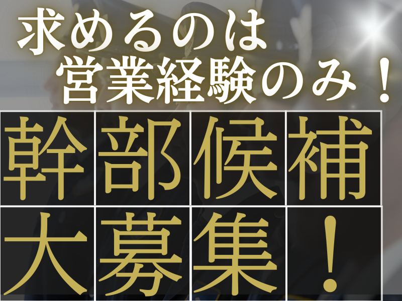 株式会社ケイビスの求人・転職情報