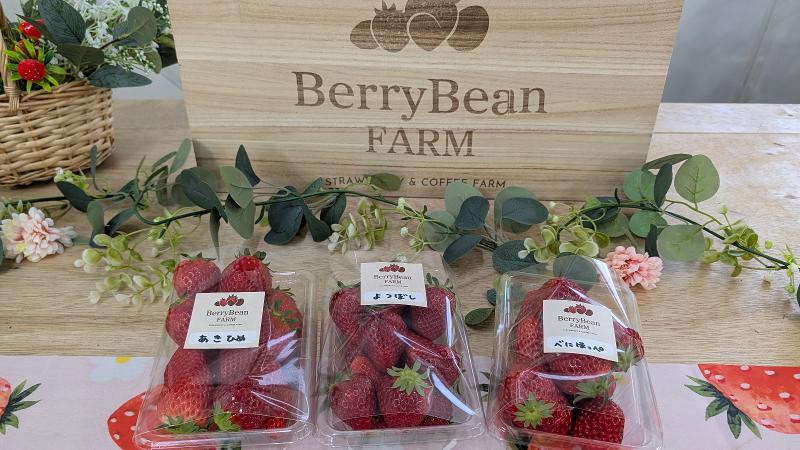 BerryBeanFARM(ベリービーンファーム)のアルバイト・バイト求人情報-02