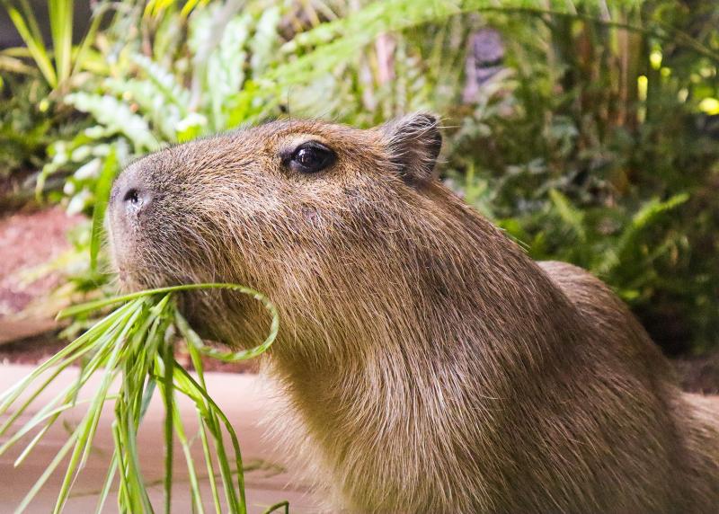 株式会社MOFFのアルバイト・バイト求人情報-03