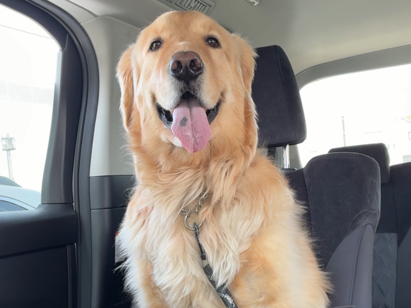 社会福祉法人博光福祉会のアルバイト・バイト求人情報-03