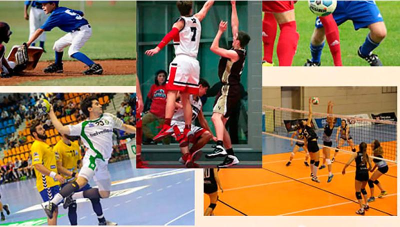 株式会社オザキスポーツの求人・転職情報