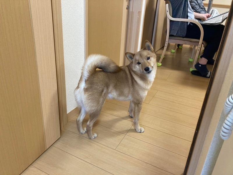 株式会社喜道愛楽のアルバイト・バイト求人情報-04
