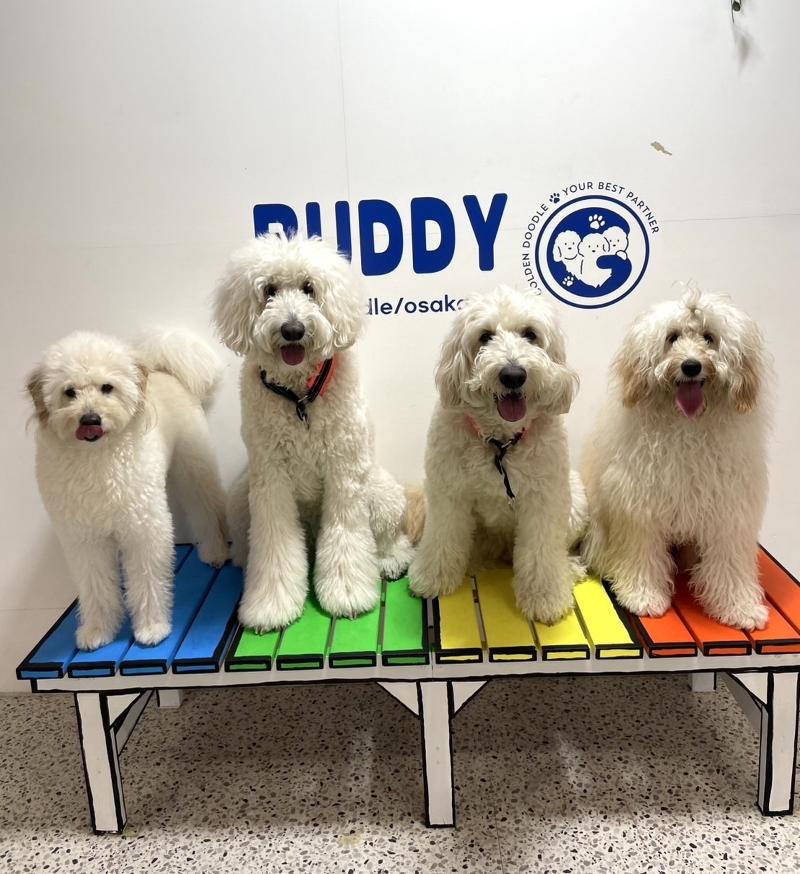 BUDDY　G-Doodle/osakaのアルバイト・バイト求人情報-05