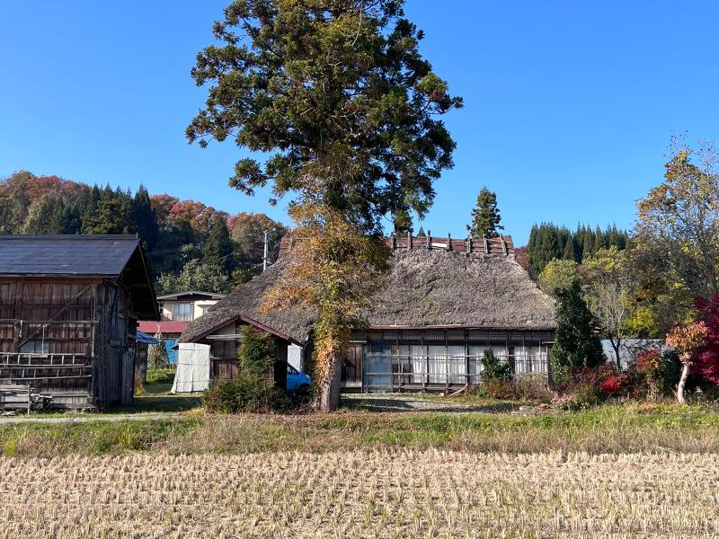 株式会社linneの求人・転職情報