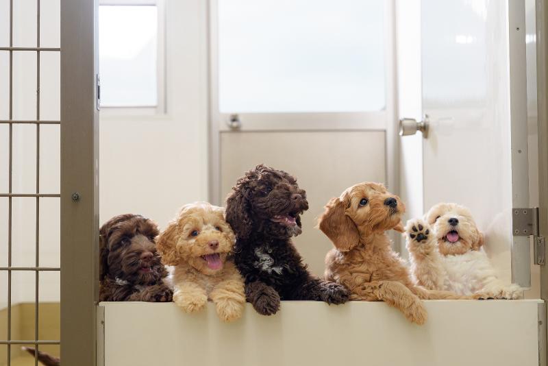 株式会社　レイクウッズガーデンのアルバイト・バイト求人情報-05