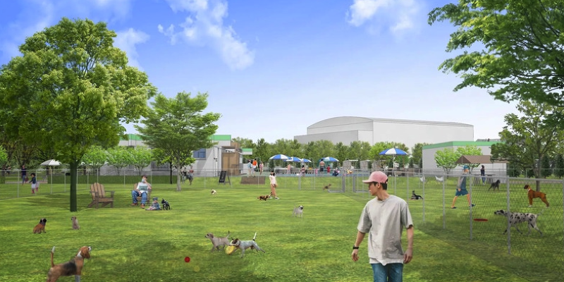 リバリューマネジメント(株)の求人・転職情報