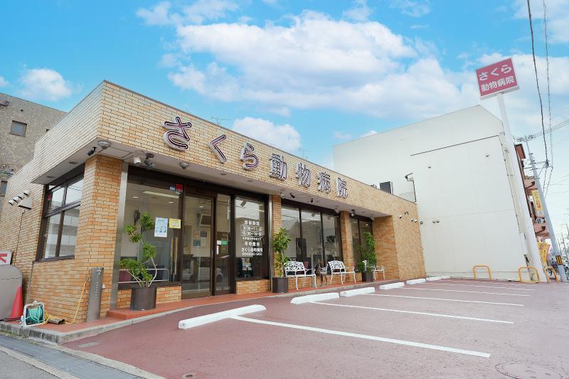 VCA Japan 合同会社-0005の求人・転職情報