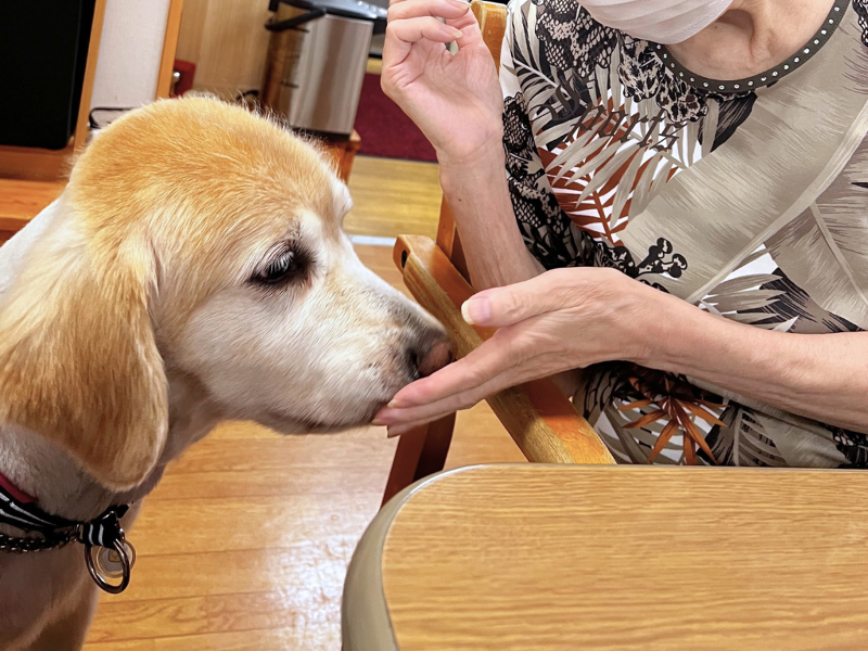 社会福祉法人博光福祉会のアルバイト・バイト求人情報-02