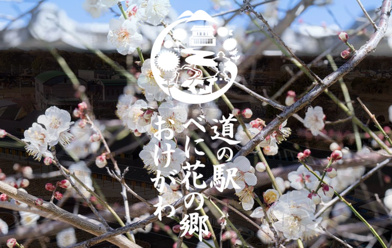 株式会社ベニネクストの求人・転職情報