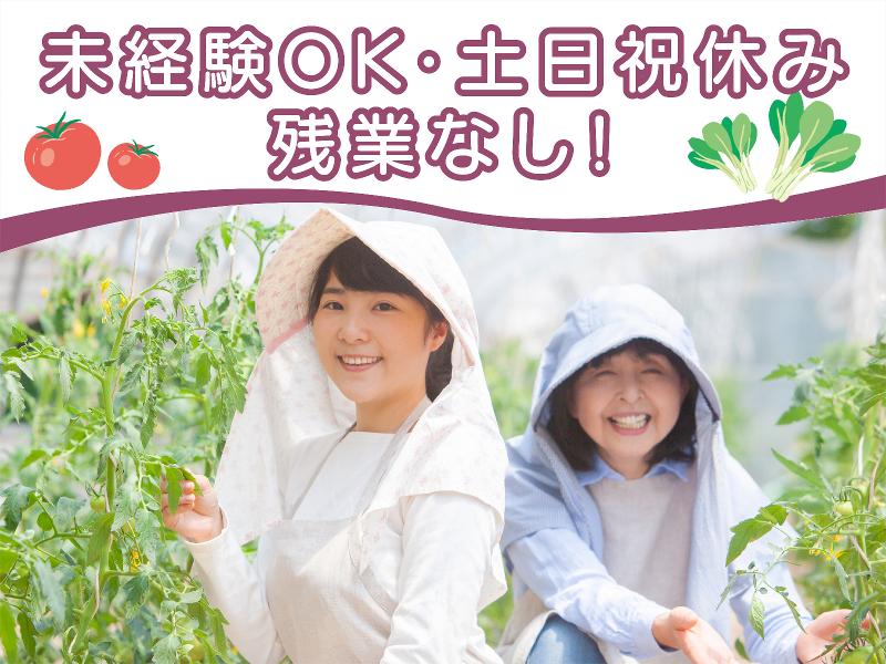わーくはぴねす農園　市原のアルバイト・バイト求人情報-02