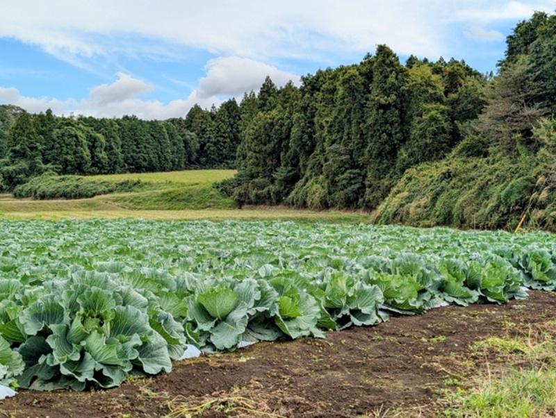 株式会社そうしんアグリのアルバイト・バイト求人情報-03