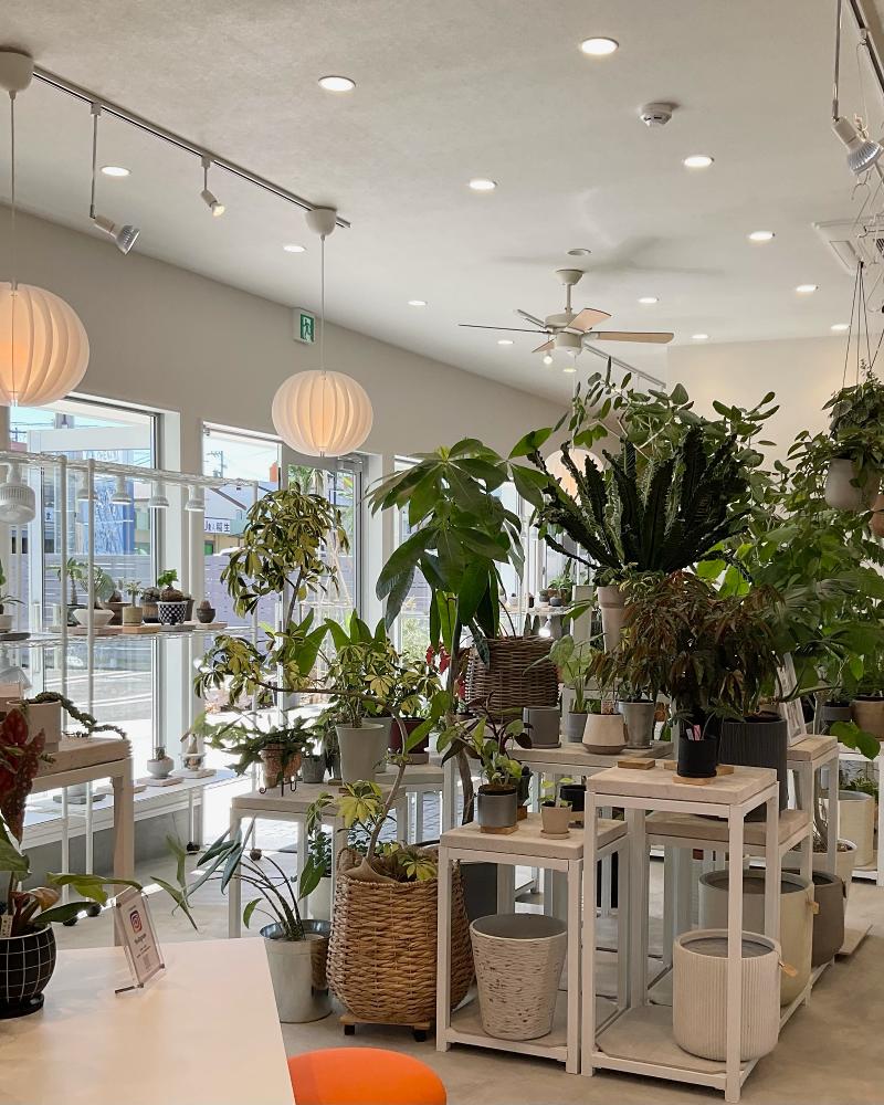 LEO.のアルバイト・バイト求人情報-02