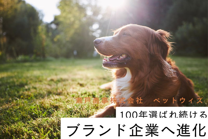 瀬戸商事株式会社のアルバイト・バイト求人情報-03